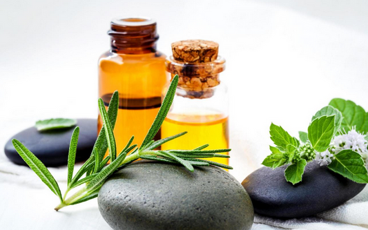 Essential Oils 101: A Beginner’s Guide to Embracing Aromatherapy