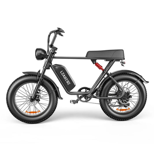Adult Electric Bike - 1000W 48V Lithium Battery, Thick 20 Inch Tires, Mountain & Snow Electric Tough Bike